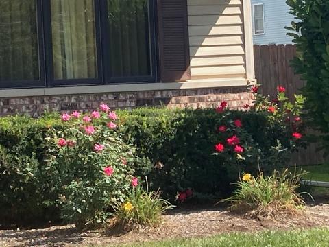621 N Lyle Ave, Elgin, IL 60123 photo 15