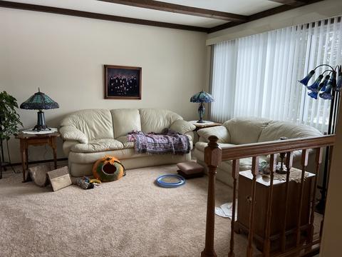 2436 E Grand Ave, Lindenhurst, IL 60046 photo 2