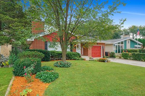 407 S Albert St, Mount Prospect, IL 60056 photo 4