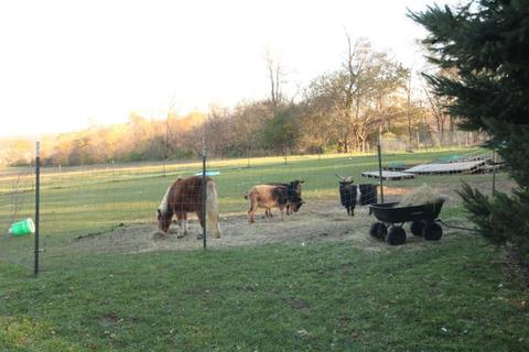 9953 Old River Rd, Roscoe, IL 61073 photo 11