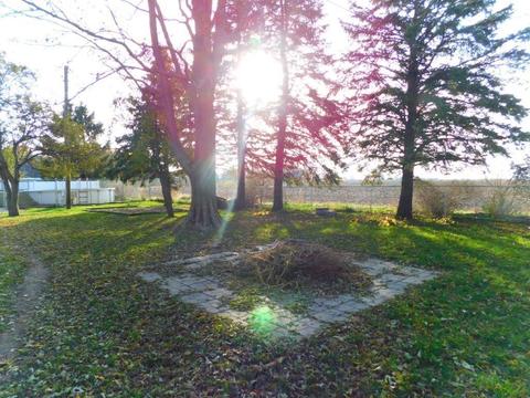 501 Joann St, Mazon, IL 60444 photo 36