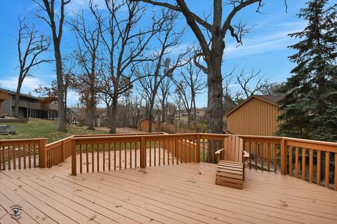 424 Schultz St, Lemont, IL 60439 photo 22