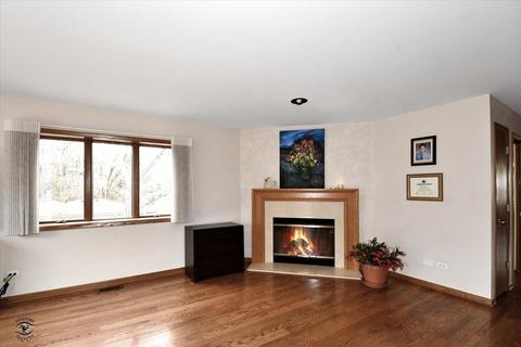 424 Schultz St, Lemont, IL 60439 photo 6