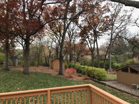 424 Schultz St, Lemont, IL 60439 photo 29