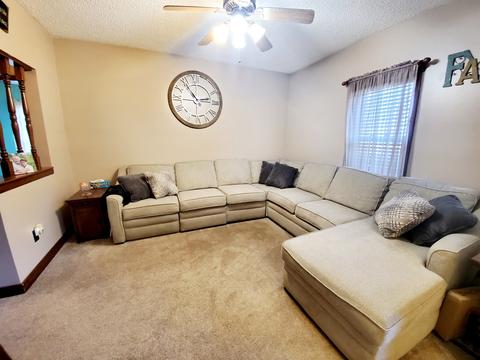 370 E First Ave, Clifton, IL 60927 photo 13
