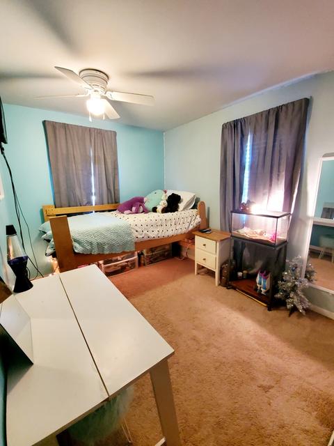 370 E First Ave, Clifton, IL 60927 photo 21