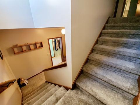 370 E First Ave, Clifton, IL 60927 photo 24