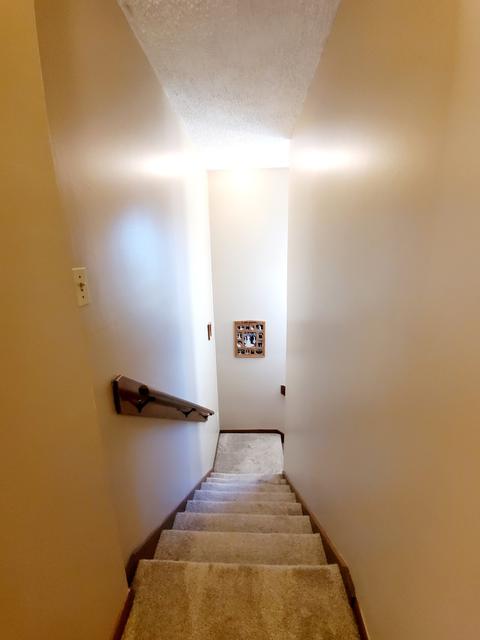 370 E First Ave, Clifton, IL 60927 photo 23