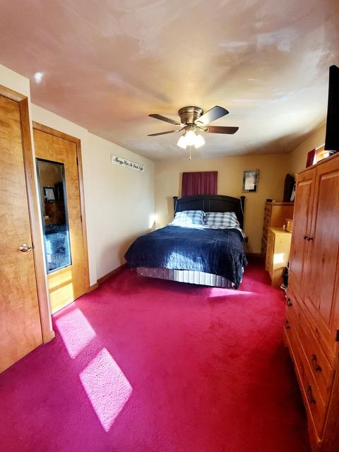 370 E First Ave, Clifton, IL 60927 photo 18