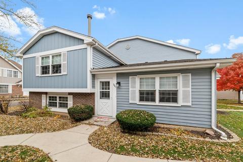 1641 Timber Trl #A, Wheaton, IL 60189 photo 1