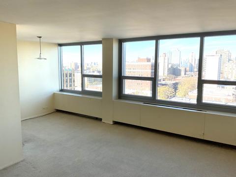 1700 E 56th St #1504, Chicago, IL 60637 photo 5