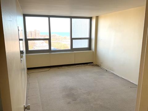 1700 E 56th St #1504, Chicago, IL 60637 photo 11