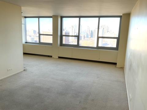 1700 E 56th St #1504, Chicago, IL 60637 photo 4