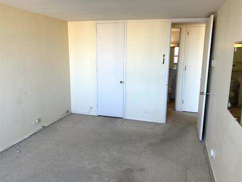 1700 E 56th St #1504, Chicago, IL 60637 photo 12