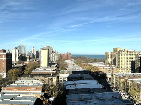 1700 E 56th St #1504, Chicago, IL 60637 photo 6