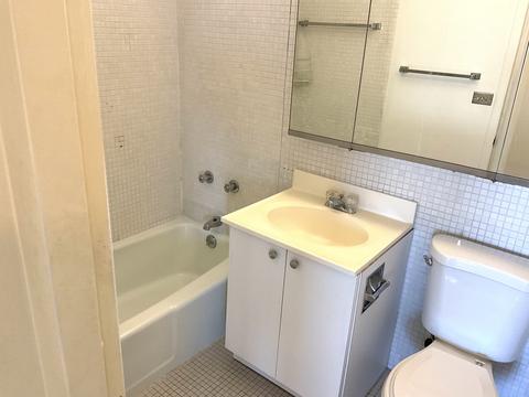 1700 E 56th St #1504, Chicago, IL 60637 photo 10