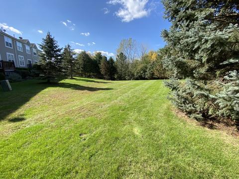550 Declaration Ln, Aurora, IL 60502 photo 26