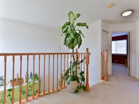 10886 Cape Cod Ln, Huntley, IL 60142 photo 14