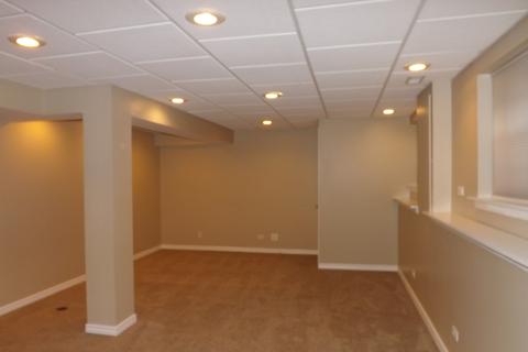 1251 Horseshoe Ln, Bartlett, IL 60103 photo 15