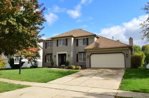 1814 Chestnut Hill Rd, Plainfield, IL 60586 photo 1