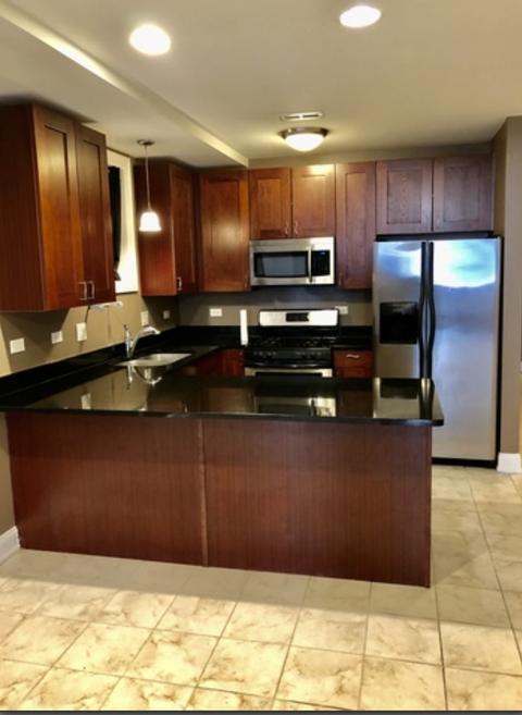 19 E 26th St #1, Chicago, IL 60616 photo 5