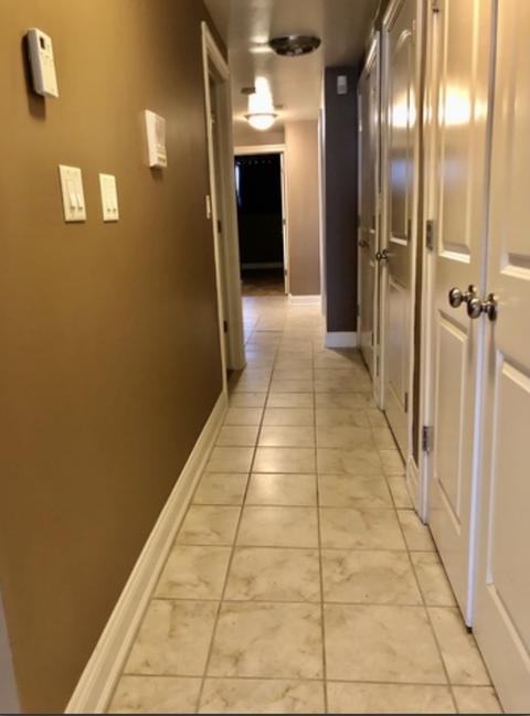 19 E 26th St #1, Chicago, IL 60616 photo 8