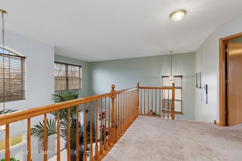 2517 Sierra Ave, Plainfield, IL 60586 photo 12