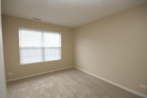 114 Jackson St, Gilberts, IL 60136 photo 11