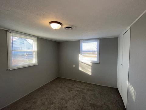307 N Cleveland St, Downs, IL 61736 photo 14