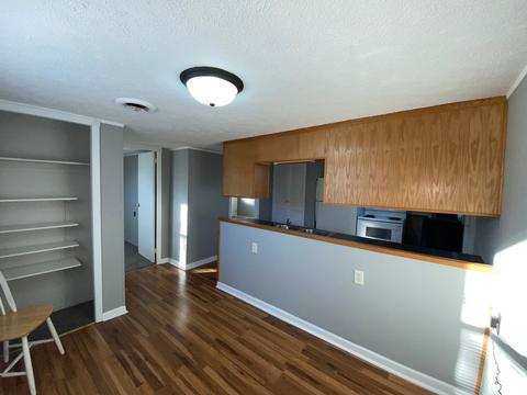 307 N Cleveland St, Downs, IL 61736 photo 12