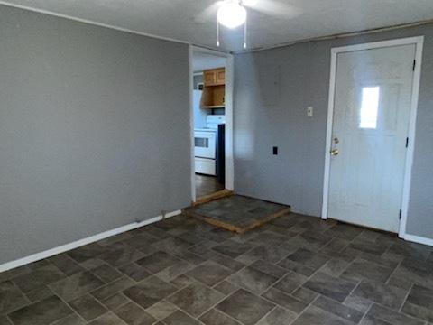 307 N Cleveland St, Downs, IL 61736 photo 21