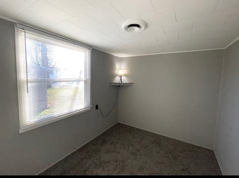 307 N Cleveland St, Downs, IL 61736 photo 17