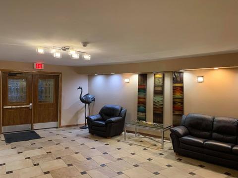 1425 Sandpebble Dr #337, Wheeling, IL 60090 photo 9