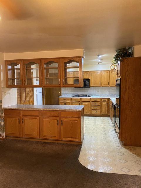 610 Edgebrook Ter, Elgin, IL 60120 photo 2