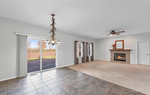 28664 W Schlesser Dr, Lakemoor, IL 60051 photo 10