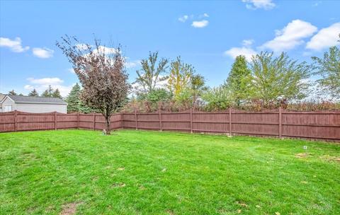 28664 W Schlesser Dr, Lakemoor, IL 60051 photo 37