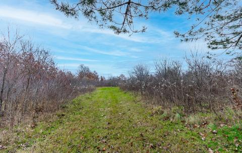 19707 State Line Rd, Harvard, IL 60033 photo 23