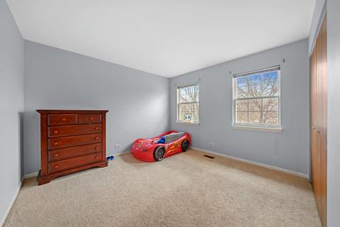 921 Wesley Ln, Algonquin, IL 60102 photo 18