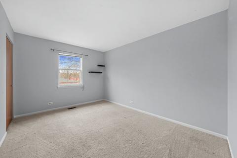 921 Wesley Ln, Algonquin, IL 60102 photo 19