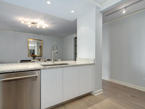 450 E Waterside Dr #502, Chicago, IL 60601 photo 15