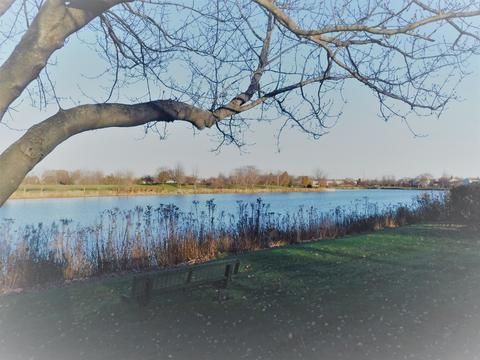 14010 S Lakeridge Dr, Plainfield, IL 60544 photo 24
