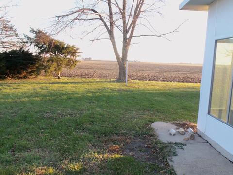 201 W Third St, Sublette, IL 61367 photo 6