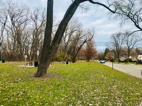 1013 Mcdaniel Ave, Evanston, IL 60202 photo 12