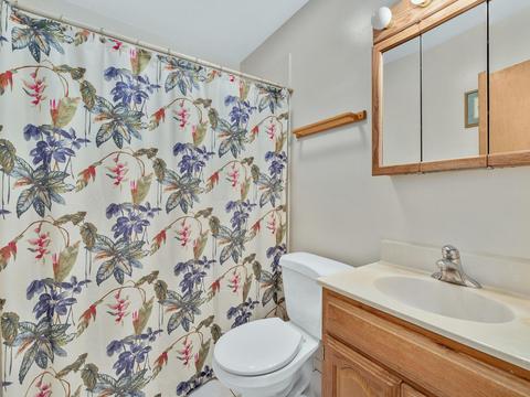 461 Farthing Ln, Des Plaines, IL 60016 photo 13