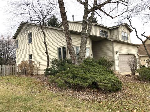 4338 Eagle Ct, Gurnee, IL 60031 photo 42
