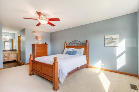 1168 S Appletree Ln, Bartlett, IL 60103 photo 19