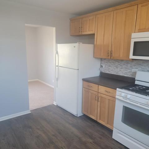 217 Pheasant Rd, Matteson, IL 60443 photo 9