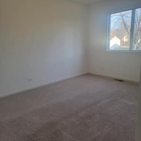 217 Pheasant Rd, Matteson, IL 60443 photo 15