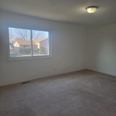217 Pheasant Rd, Matteson, IL 60443 photo 17