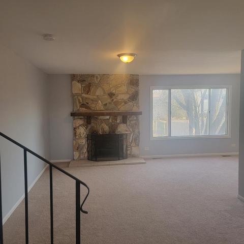 217 Pheasant Rd, Matteson, IL 60443 photo 4